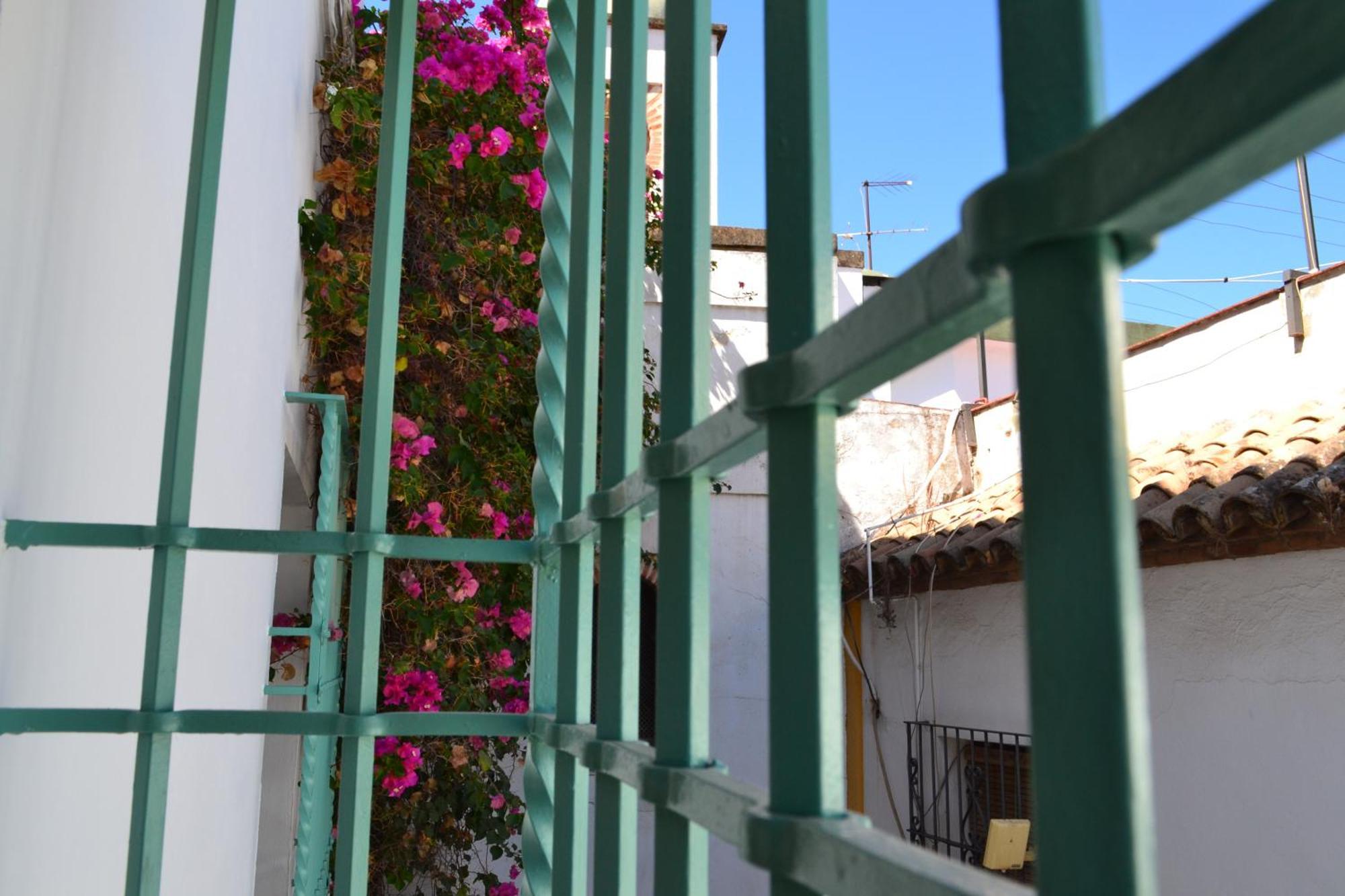 Sunshine Patio De La Hoguera Apartment Кордоба Екстериор снимка