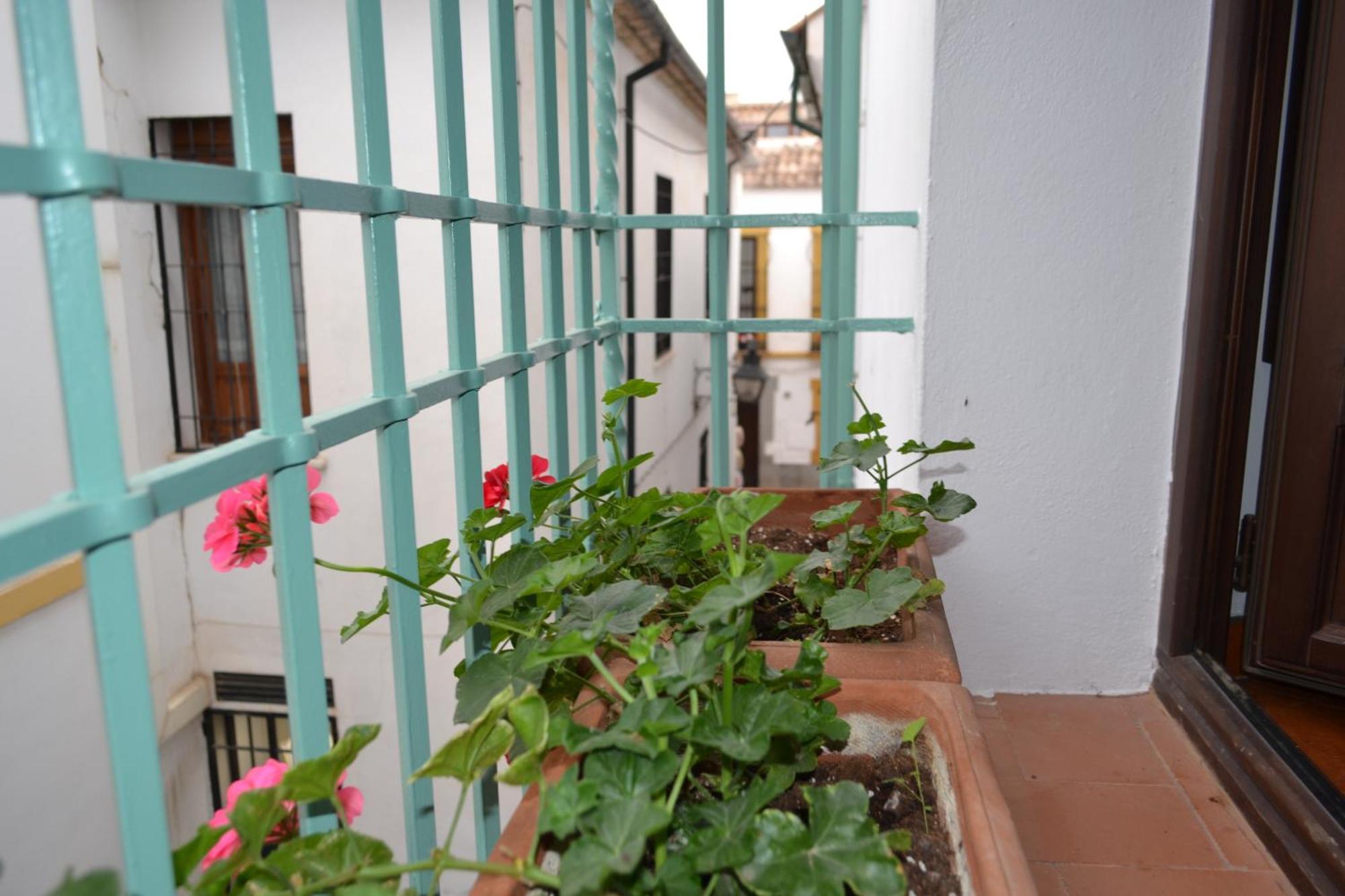 Sunshine Patio De La Hoguera Apartment Кордоба Екстериор снимка